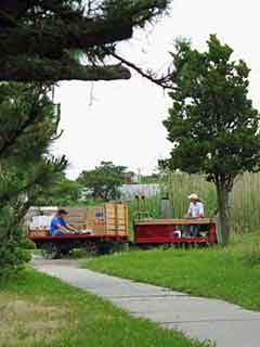 Point O'Woods railway