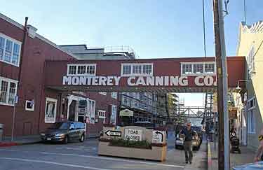 Cannery Row 