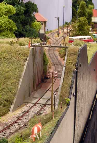 hole in the dike