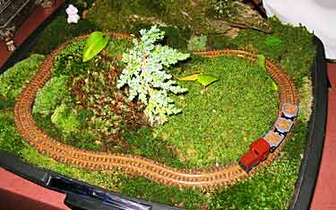 garden railway