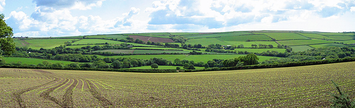 Hillside background