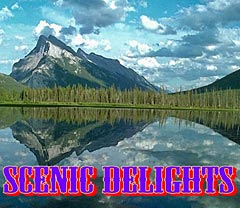 Scenic Delights